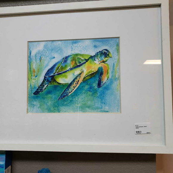 turtle picture, local artist