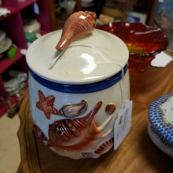 Small seashell Canister