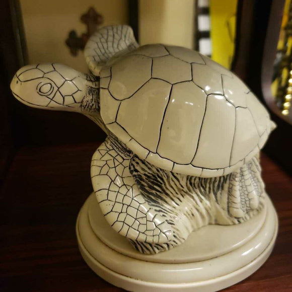 Cook Company turtle